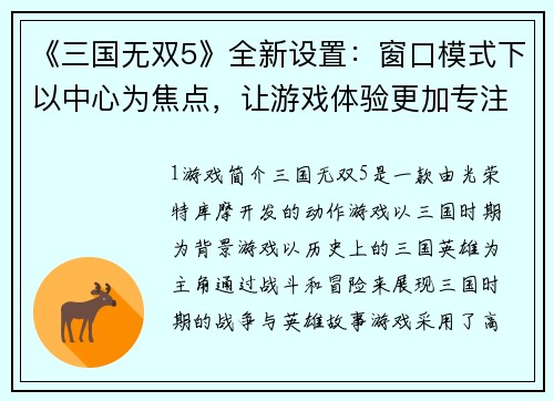 《三国无双5》全新设置：窗口模式下以中心为焦点，让游戏体验更加专注